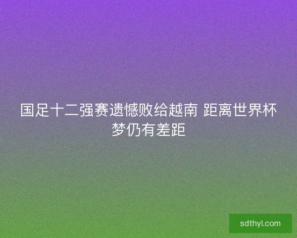 国足十二强赛遗憾败给越南 距离世界杯梦仍有差距