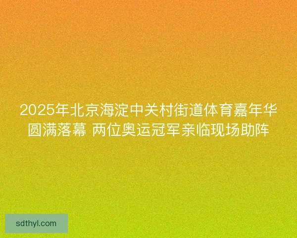 2025年北京海淀中关村街道体育嘉年华圆满落幕 两位奥运冠军亲临现场助阵