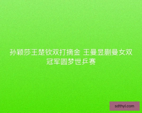 孙颖莎王楚钦双打摘金 王曼昱蒯曼女双冠军圆梦世乒赛