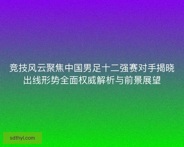 竞技风云聚焦中国男足十二强赛对手揭晓出线形势全面权威解析与前景展望