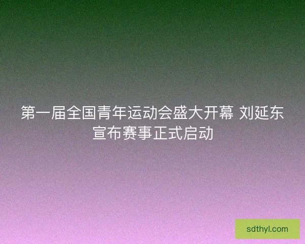 第一届全国青年运动会盛大开幕 刘延东宣布赛事正式启动