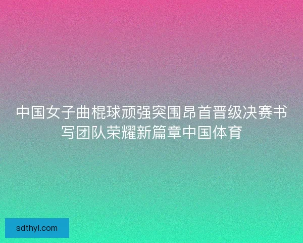 中国女子曲棍球顽强突围昂首晋级决赛书写团队荣耀新篇章中国体育
