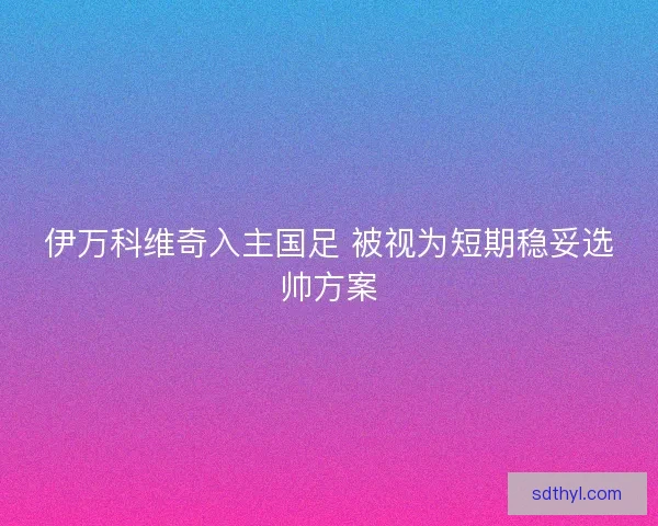 伊万科维奇入主国足 被视为短期稳妥选帅方案