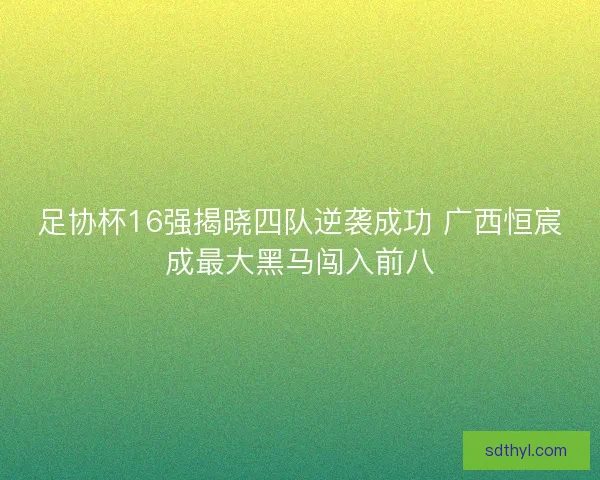 足协杯16强揭晓四队逆袭成功 广西恒宸成最大黑马闯入前八